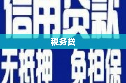 文安税务贷