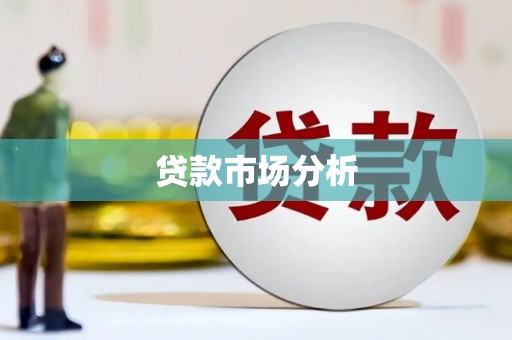 文安贷款市场分析
