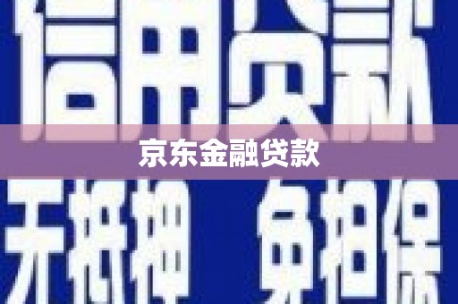 文安京东金融贷款