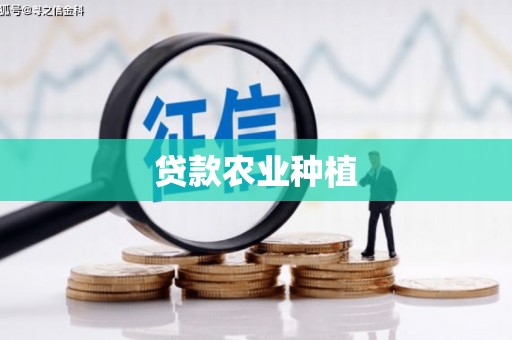 文安贷款农业种植