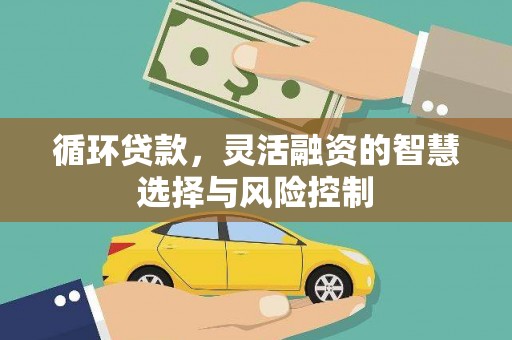 文安循环贷款，灵活融资的智慧选择与风险控制
