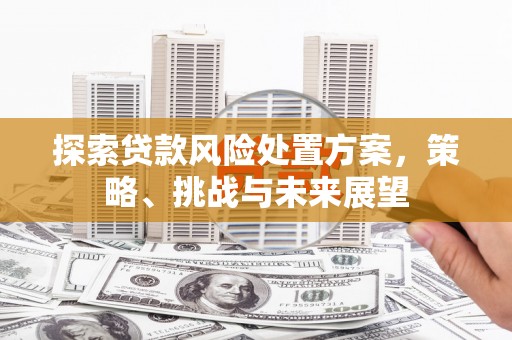 文安探索贷款风险处置方案，策略、挑战与未来展望