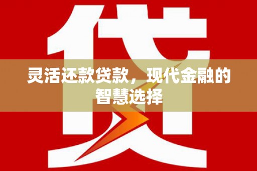文安灵活还款贷款，现代金融的智慧选择