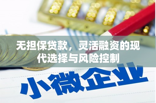 文安无担保贷款，灵活融资的现代选择与风险控制