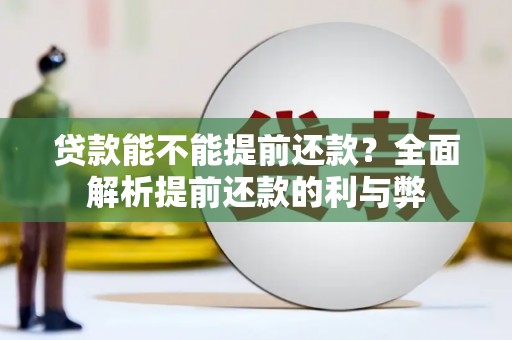 文安贷款能不能提前还款？全面解析提前还款的利与弊