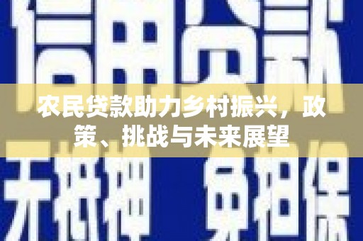 文安农民贷款助力乡村振兴，政策、挑战与未来展望