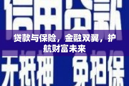 文安贷款与保险，金融双翼，护航财富未来