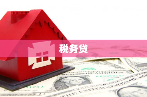 文安税务贷