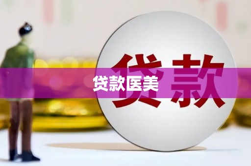 文安贷款医美