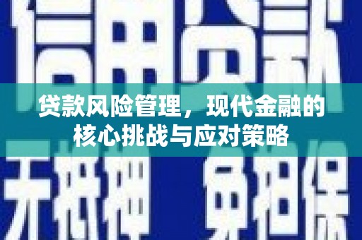 文安贷款风险管理，现代金融的核心挑战与应对策略