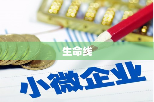 文安生命线