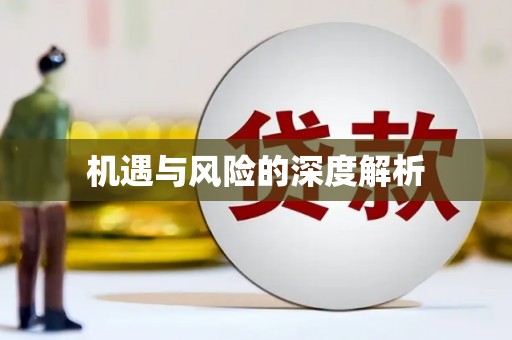 文安机遇与风险的深度解析
