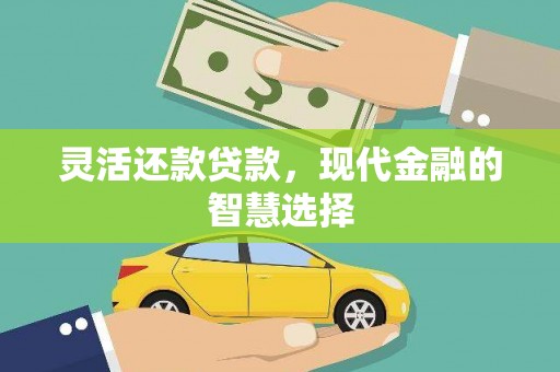 文安灵活还款贷款，现代金融的智慧选择