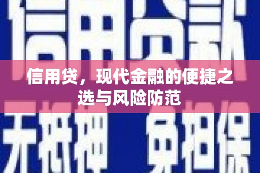 文安信用贷，现代金融的便捷之选与风险防范