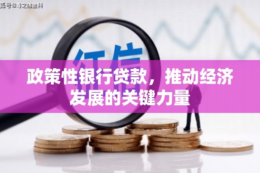 文安政策性银行贷款，推动经济发展的关键力量