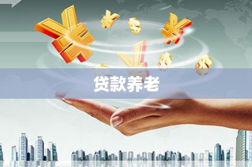 文安贷款养老