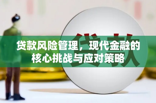 文安贷款风险管理，现代金融的核心挑战与应对策略