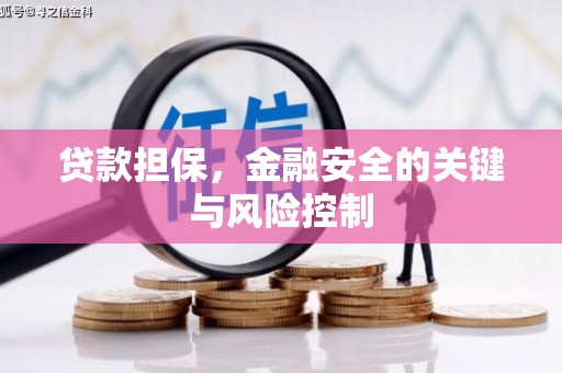 文安贷款担保，金融安全的关键与风险控制