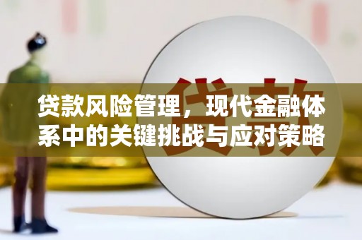 文安贷款风险管理，现代金融体系中的关键挑战与应对策略