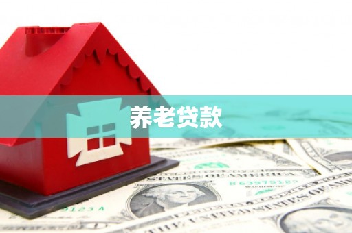 文安养老贷款