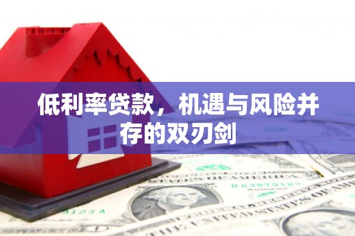 文安低利率贷款，机遇与风险并存的双刃剑