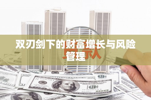 文安双刃剑下的财富增长与风险管理