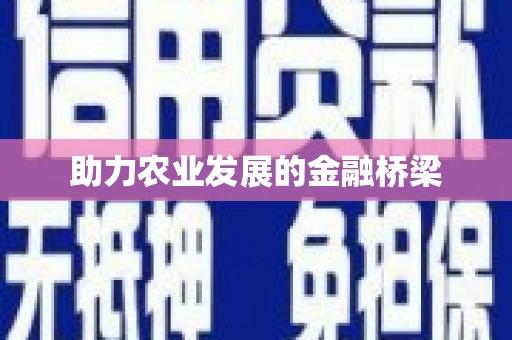文安助力农业发展的金融桥梁