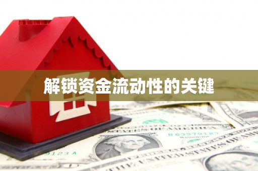 文安解锁资金流动性的关键