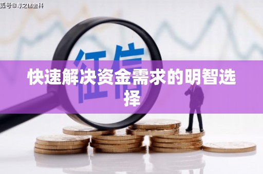 文安快速解决资金需求的明智选择