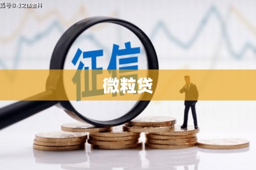 文安微粒贷