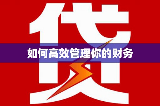 文安如何高效管理你的财务