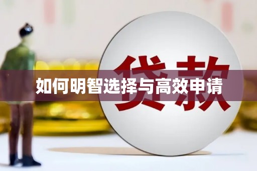 文安如何明智选择与高效申请