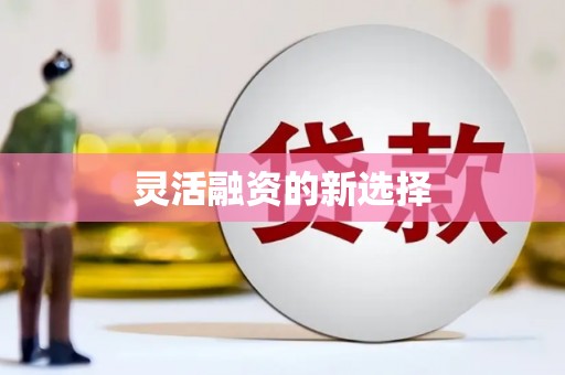 文安灵活融资的新选择