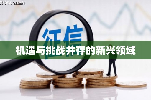 文安机遇与挑战并存的新兴领域