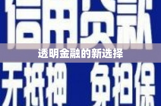 文安透明金融的新选择