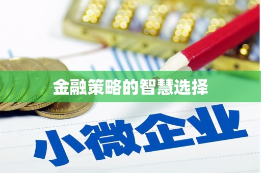 文安金融策略的智慧选择