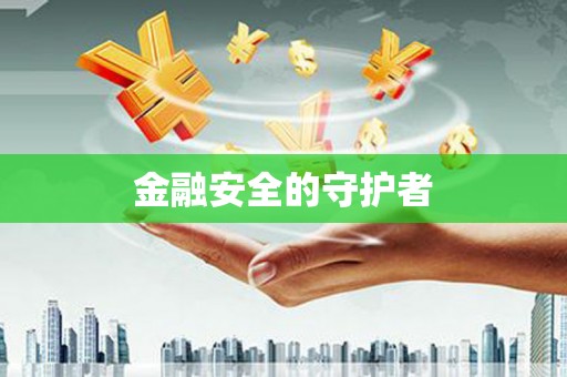 文安金融安全的守护者