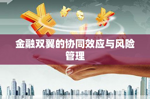 文安金融双翼的协同效应与风险管理