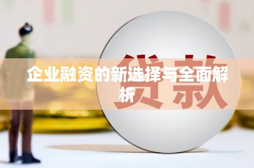 文安企业融资的新选择与全面解析