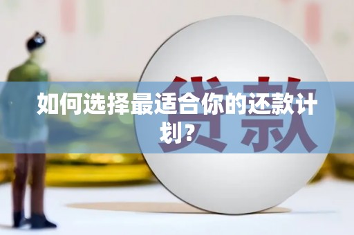 文安如何选择最适合你的还款计划？