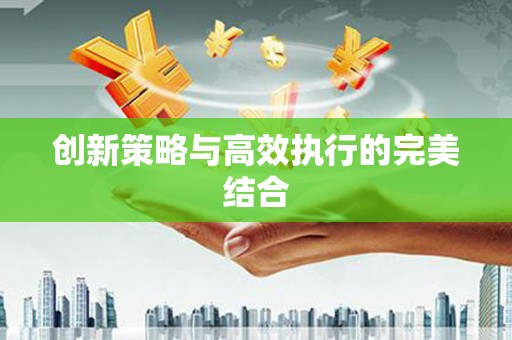 文安创新策略与高效执行的完美结合