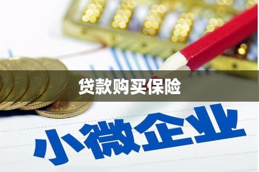 文安贷款购买保险