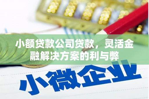 文安小额贷款公司贷款，灵活金融解决方案的利与弊
