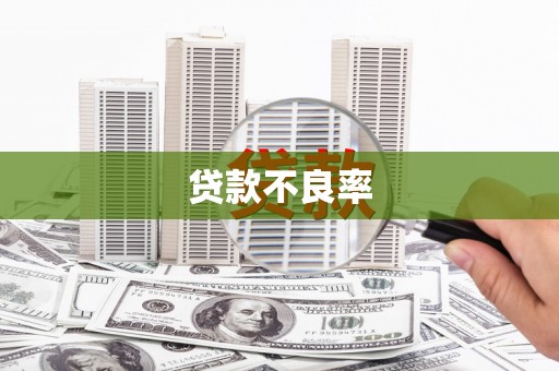 文安贷款不良率