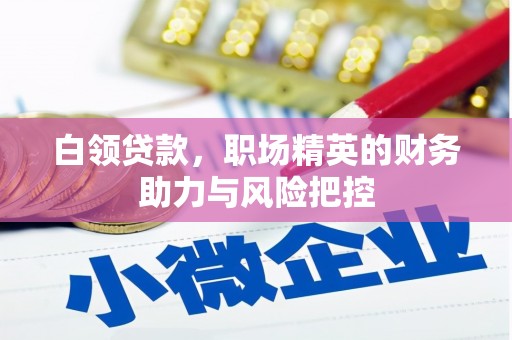 文安白领贷款,职场精英的财务助力与风险把控 文安白领贷款,职场精英的财务助力与风险把控