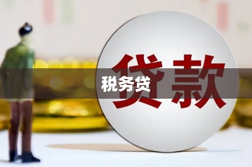 文安税务贷